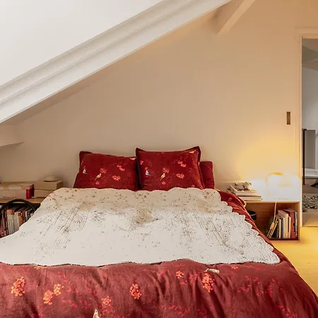 公寓 Stunning Balcony View 2 Bdr Duplex Saint Germain